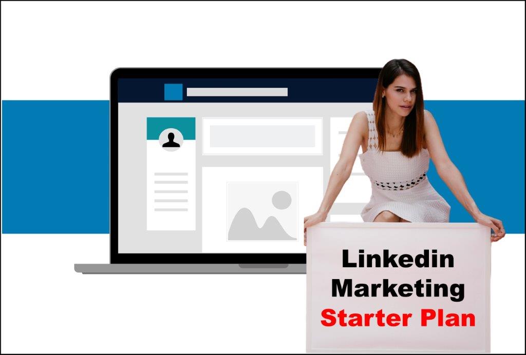 linkedin marketing service provider in Honolulu Hawaii